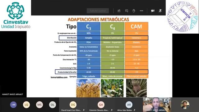 Dr. Hamlet Avilés de la UANL "Las micorrizas y la Evolución de las Plantas Terrestres" смотреть онлайн