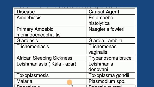Human Health and Diseases Part - 2 (NEET and Class 12) смотреть онлайн