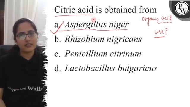 Citric acid is obtained from
a. Aspergillus niger
b. Rhizobium nigr... смотреть онлайн
