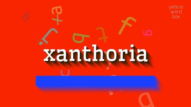 HOW TO PRONOUNCE XANTHORIA? #xanthoria смотреть онлайн