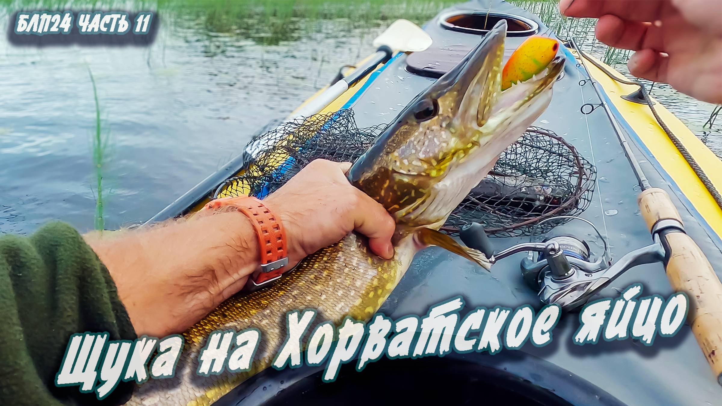 #11Тест Хорватского яйца | Навстречу северным ветрам 2024