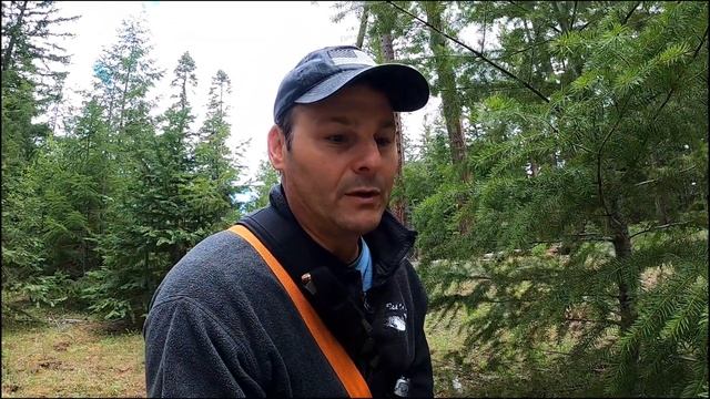 Morel Mushroom Hunting Tips - Cascade Mountains