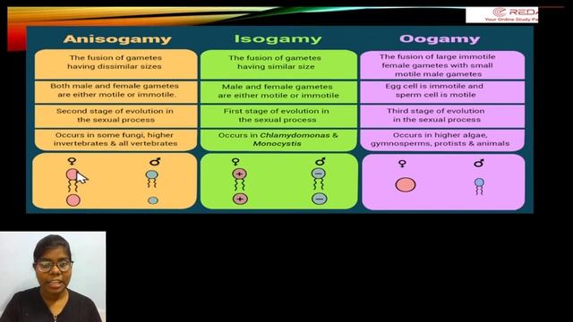 Class 12- bio-zoology : Reproduction in Organisms- session 2 смотреть онлайн
