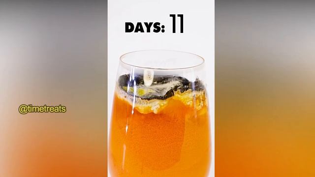 UNEXPECTED RESULT🔥💖ORANGE JUICE Time-Lapse🔥😍MACRO TIME LAPSE #timelapse смотреть онлайн