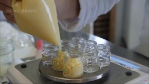 Удивительное производство Маточного молочка пчёлами - сбор и обработка | Noal Farm на русском