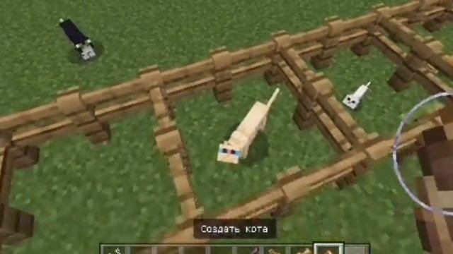 《сколько всего видов кошек существует в маинкрафт?》