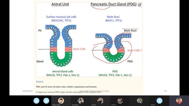 JCS 50. scRNA-seq and pancreatic ductal carcinoma