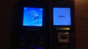 Samsung SGH-C160 vs C450