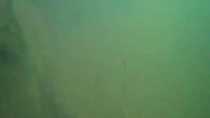 Озеро раки на нырялке