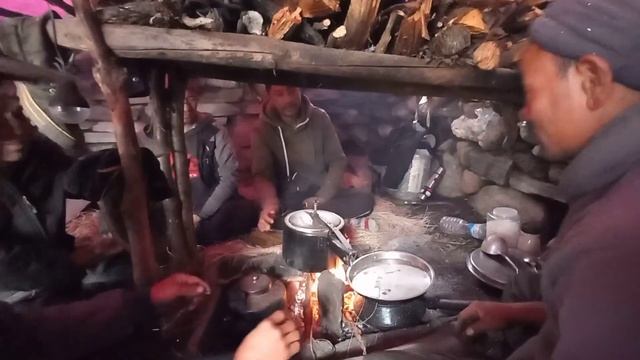 Chaamal Saapati || Yarsagumba Life In The Mountains, Cordyceps hunting,  Nepal @rajgurungmanang8107 смотреть онлайн