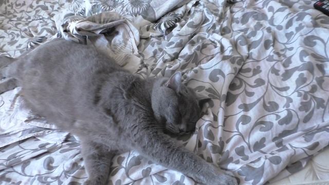 Кому живется весело-вольготно на Руси? смотреть онлайн