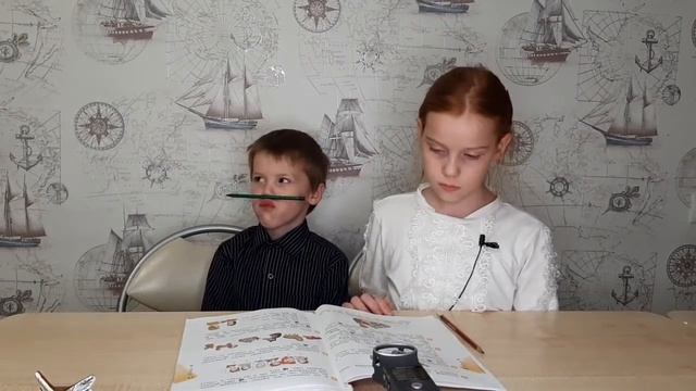 Rainbow English 2 grade STEP 3 смотреть онлайн