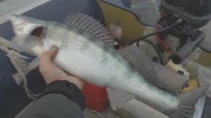 Судаки с Чира. Встреча  с Морозовским спецом по судаку . От Юрия Философа