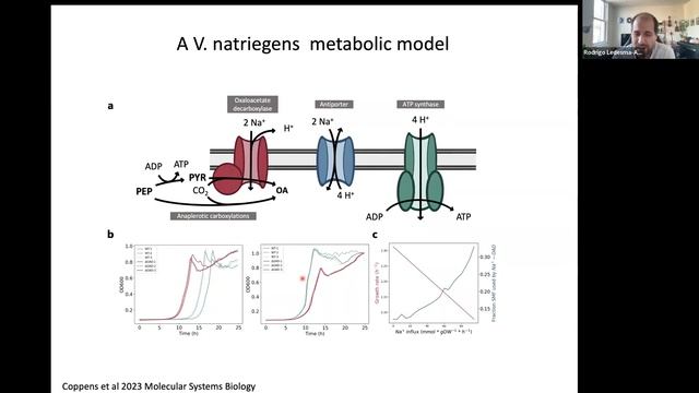 Build-a-Cell seminar Rodrigo Ledesma-Amaro: Engineering yeast for sustainable bioproduction