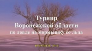 Турнир Воронежской области по ловле на мормышку со льда декабрь 2016