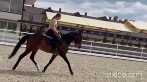 Очень симпатичный рысачёк. Подойдёт под любителя. Арт.: 0574