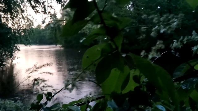 VID 20220603 215749 Римская распродажа (А. Вознесенский)...Павел Васильев Лахтинский смотреть онлайн