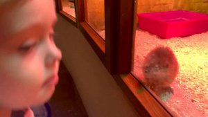 Зоопарк Алматы