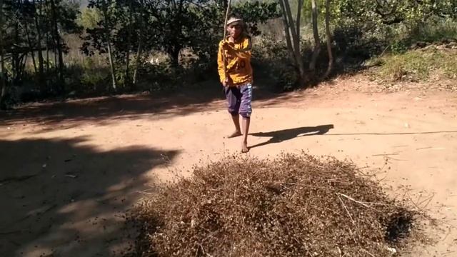 Tribal Lifestyles Vlog ||Cultivation Vlog 2 || Rural Vlog ||अलसी|| Harza Vlogs || Tribe Vlogs || смотреть онлайн