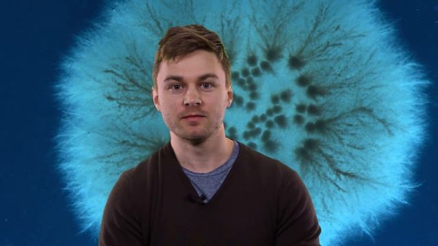 The role of mitochondria in fungal pathogenesis смотреть онлайн