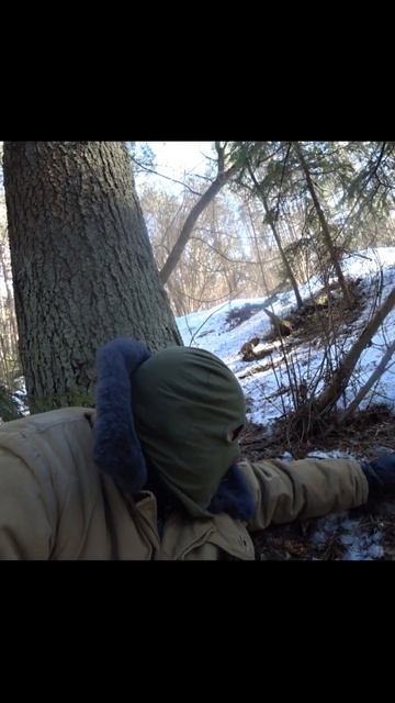 Дымящий гриб#short смотреть онлайн