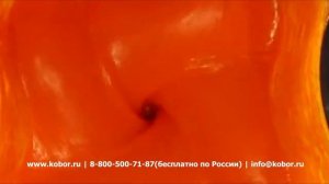 Блендер Hamilton Beach HBF600-CE | Видео от Кобор