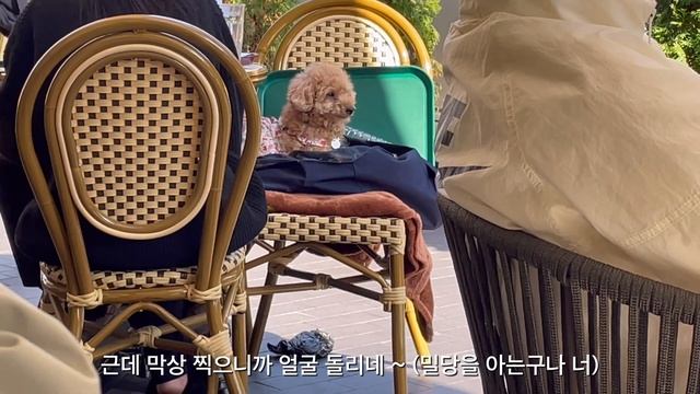 sub)Seoul Vlog | 성수동 브이로그 | 고든램지버거 후기 | 언박싱 (어그부츠, 리쥬란, 이솝) | 러브인서울 위플래쉬 |글램핑, 성수동 맛집 브런치, 퇴근 후 치맥 смотреть онлайн