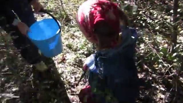 Теперь все грибы наши смотреть онлайн