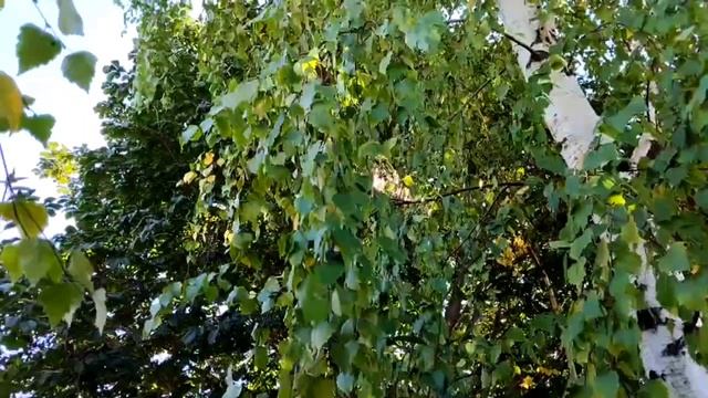 21 января 2024 г. смотреть онлайн