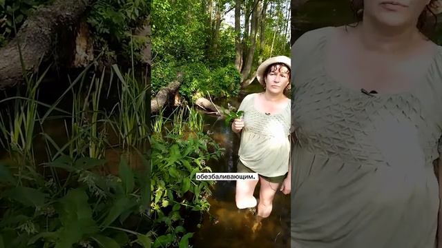 Незаменимый помощник при болях в суставах, ушибах и переломах! смотреть онлайн