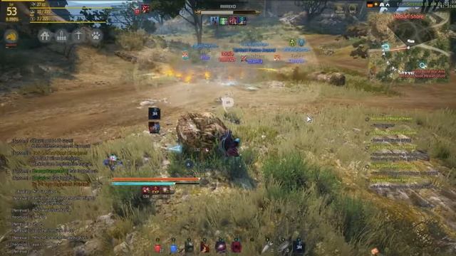 Black Desert: Wrath (?) of the Script Kiddie смотреть онлайн