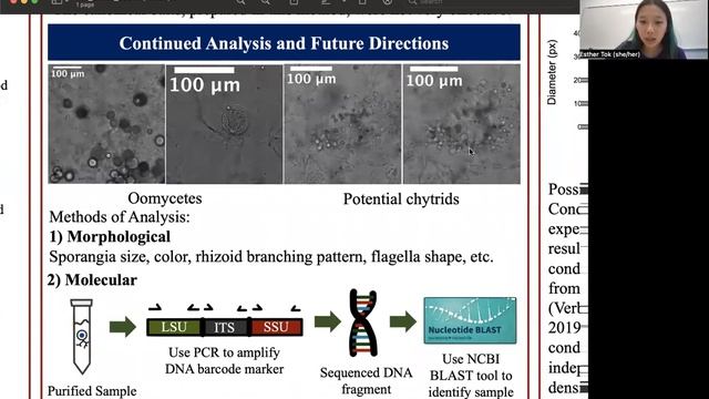 Basal Buddies: Characterizing the Diversity and Life Cycle Dynamics of Chytrid Fungi by Esther Tok смотреть онлайн