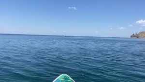 На САПЕ по морю