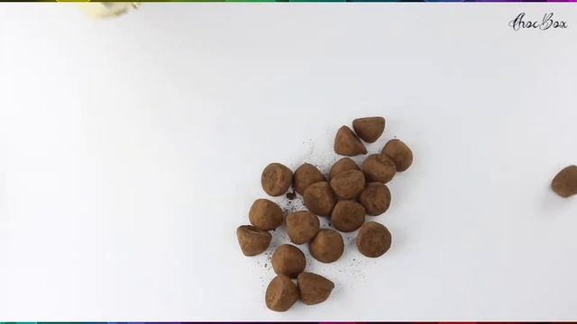 Fancy Truffles  Hazelnut  Jacquot