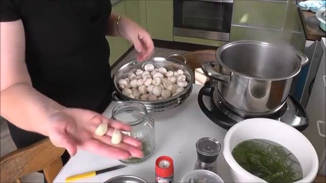 Video смотреть онлайн