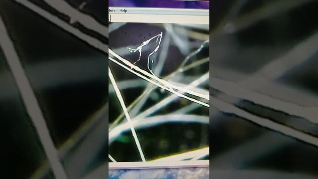 coccidioides immitis moving on my hair смотреть онлайн