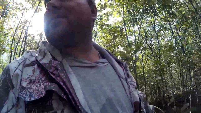 ГРИБЫ смотреть онлайн