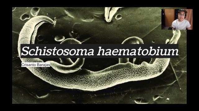 Lecture 17 Part 22 Term Project Complication 4 - Fungi and Protozoa May contain strong imagery