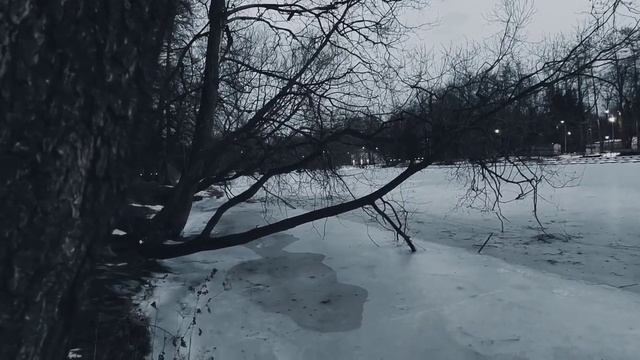 VID 20230120 170635 Едва забрезжит день...(Виктор Гюго)...Павел Васильев Лахтинский смотреть онлайн