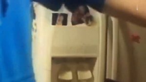 Она испугалась по-сестрински! 🤣смешные видео