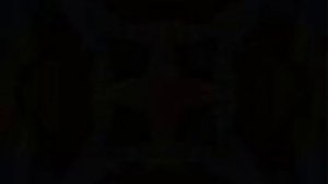 KAMZONER - Чивауа