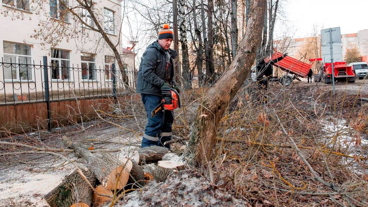 В рамках подготовки к празднованию 80-летия Победы в Дубне продолжились работы по благоустройству