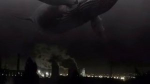 Вы видели как умирают киты?