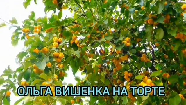 ТРЫНДЕЦ! ПРИЕХАЛИ! ОЛЮНЯ И КОТЮНЯ. ОБЗОР ВЛОГА.