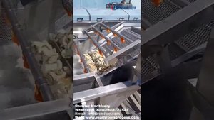 Машина для мойки грибов