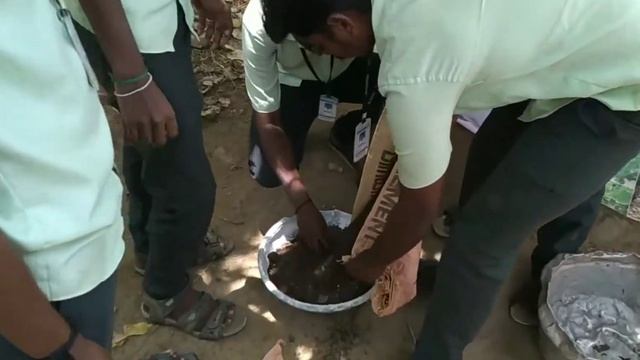 Trichoderma viride mix with compost demonstration by Thondamuthur teamTamilnadu