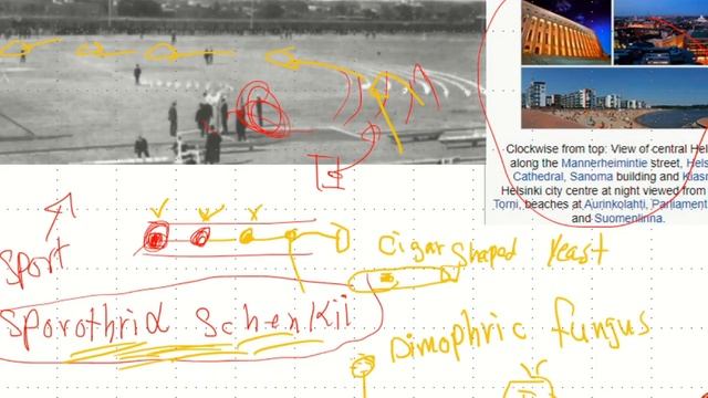 Sporothrix schenckii (5) смотреть онлайн