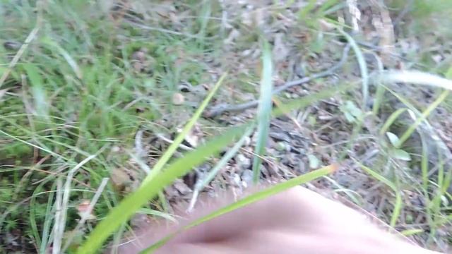 akcja grzyb cz 4 смотреть онлайн