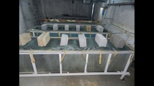Холодная обработка субстрата вешенки, приготовление раствора. Белизна, известь, сырье