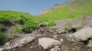 Посещение Бахальпзее, Швейцария